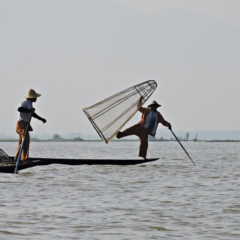 De lokale fiskere mestrer en særlig tekning, Inle Lake, Myanmar