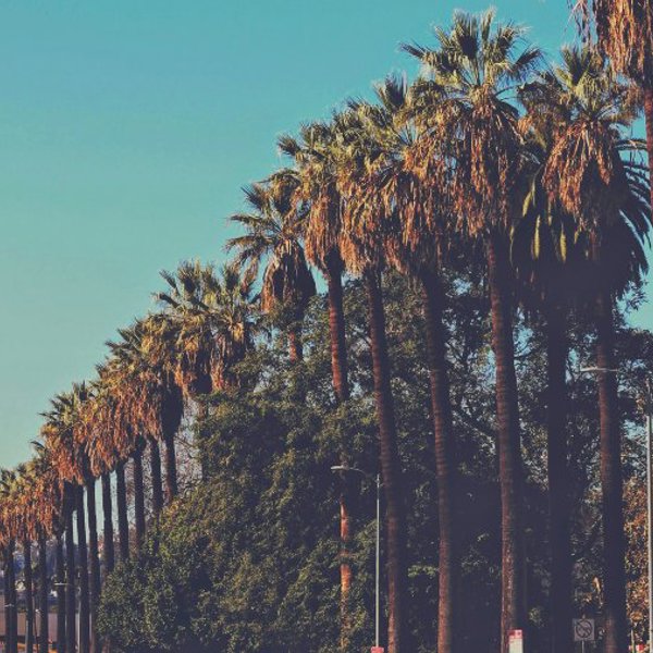 Rejser til Los Angeles