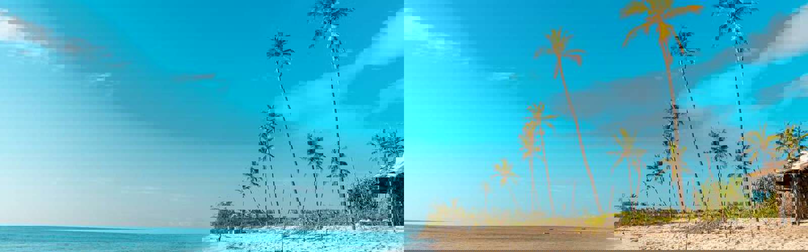 I:\AXUMIMAGES\Afrika\Kenya\Mombasa\diani beach2