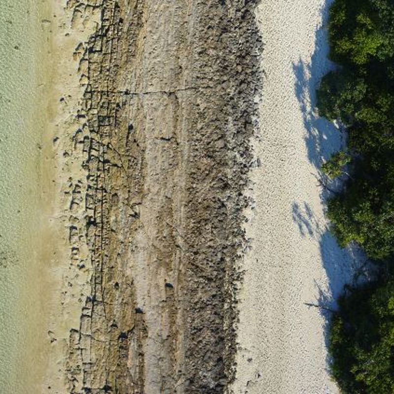 Rejser til Heron Island