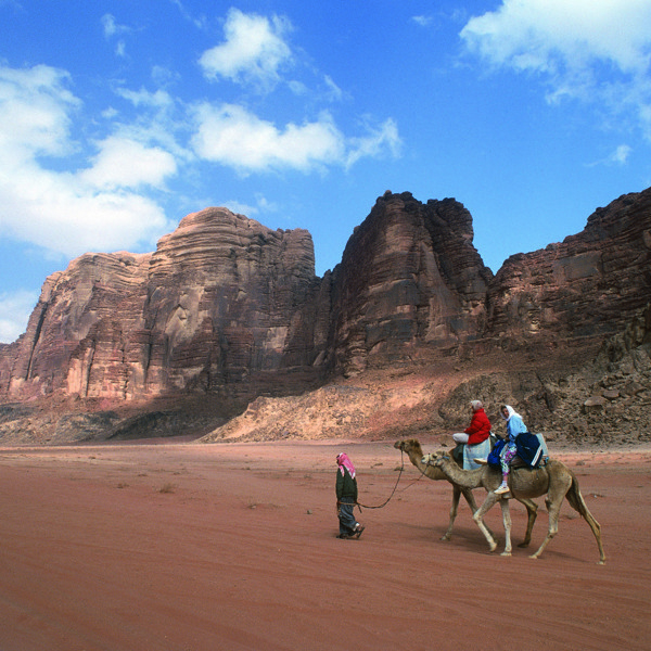 Klippefremspring + kamel i ørkenen