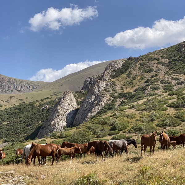 Rideture er en populær aktivitet i Kazakhstan
