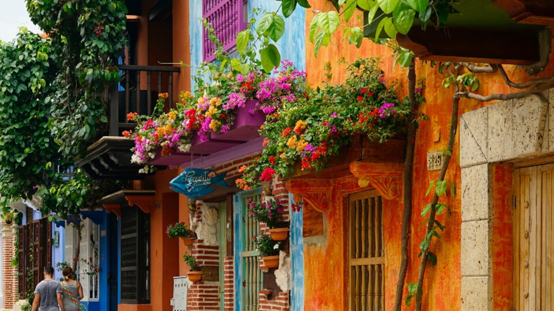 Sikkerhed I Colombia Kvadrat