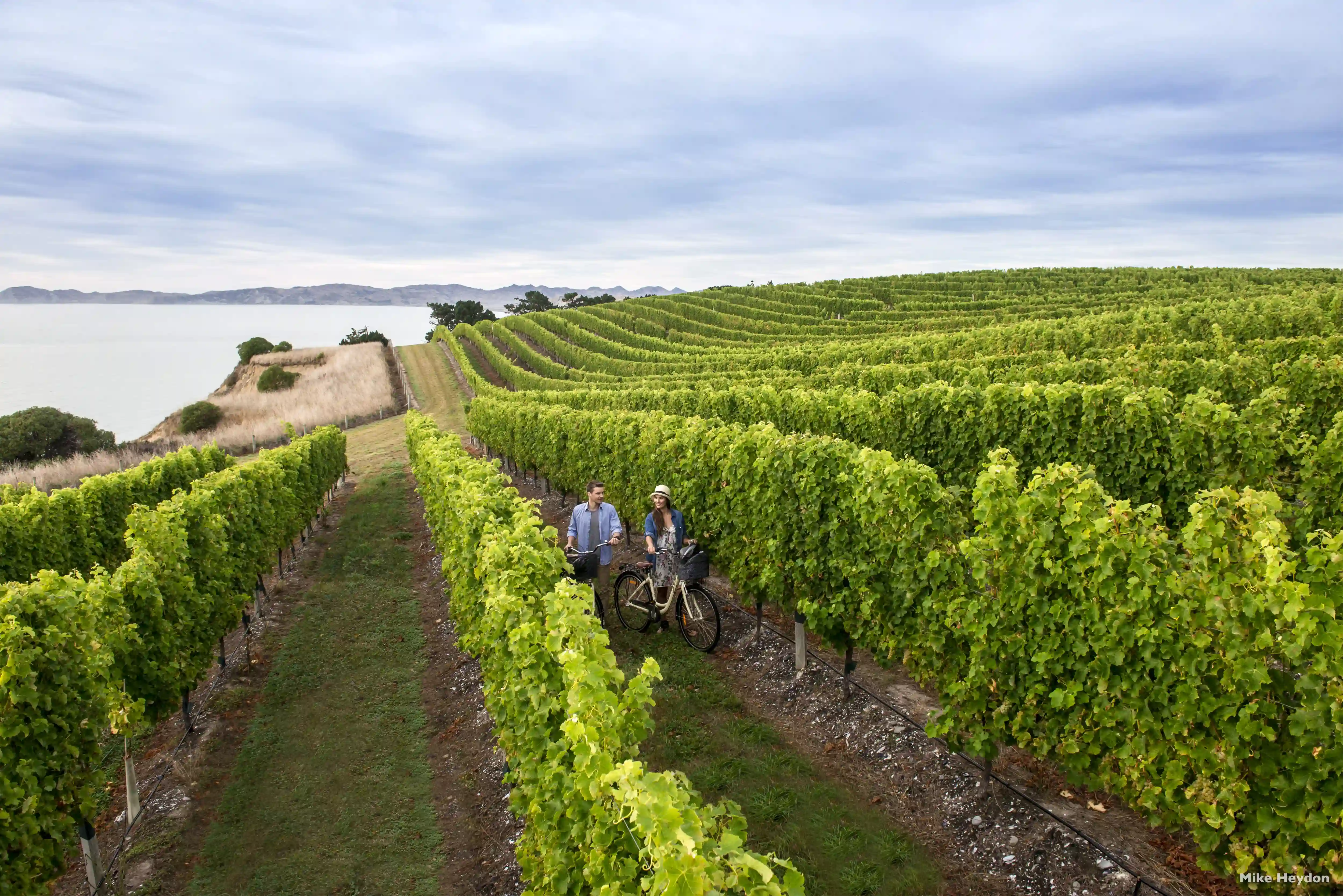 Marlborough, New Zealand