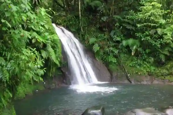 Vandfald, Basse Terre, Guadeloupe