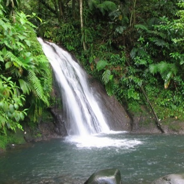 Vandfald, Basse Terre, Guadeloupe