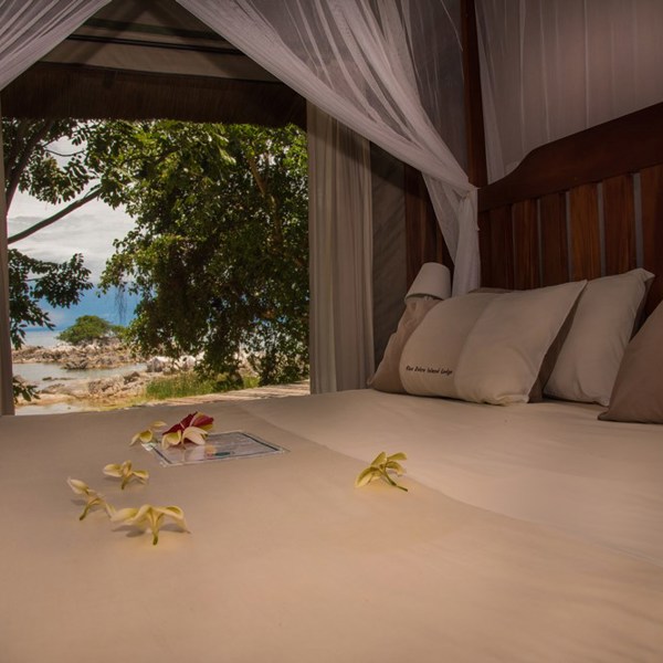 Udsigt fra værelse på Blue Zebra