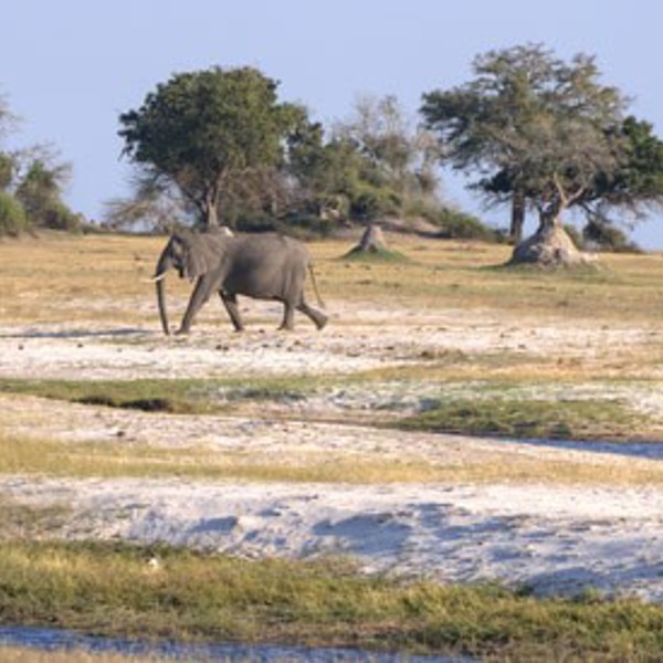 Francistown i Botswana