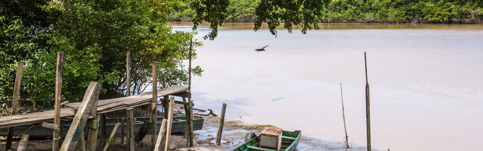 Surinam river