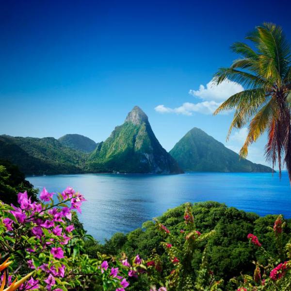 Piton på St. Lucia
