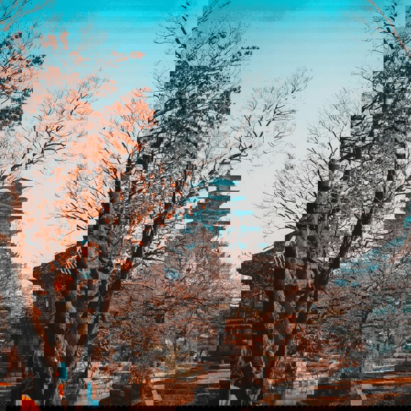 Tempel gemt bag træer i Seoul, Sydkorea