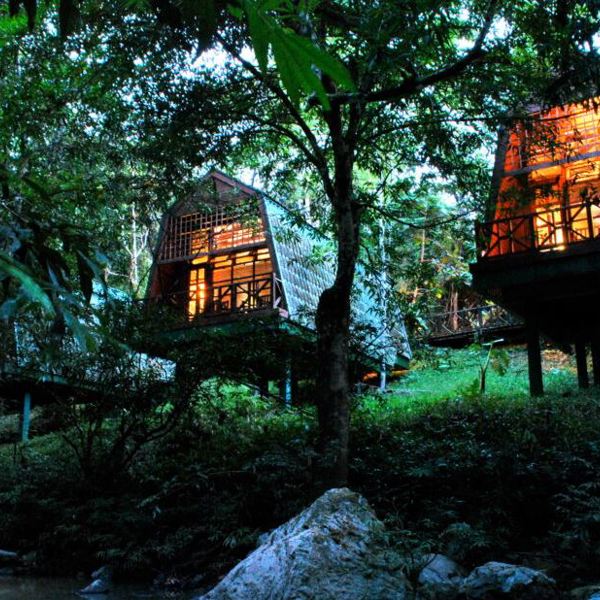 Tabin Wildlife Resort