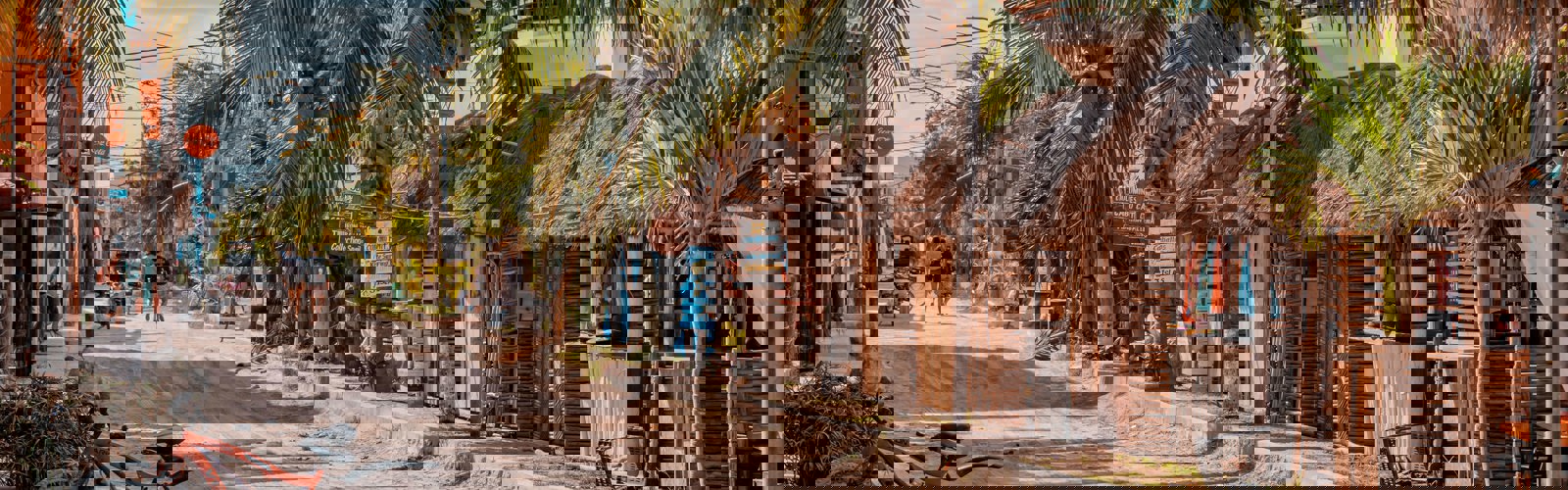 the-free-birds-iKyWJvWpg14-unsplash