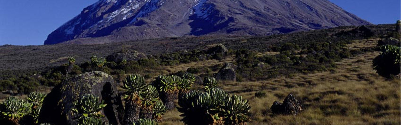 Kilimanjao fra Horombo