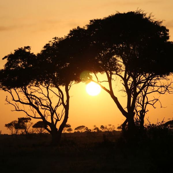 Uganda - Murchison - Sunset