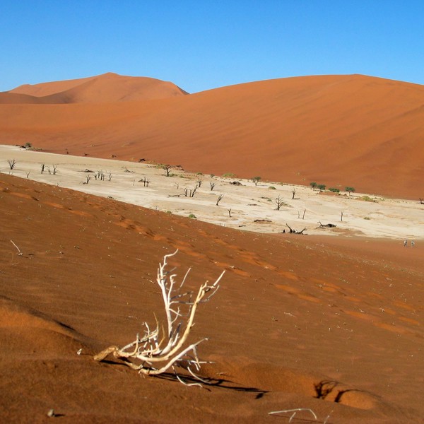 Dead Vlei, rejs til Namibia
