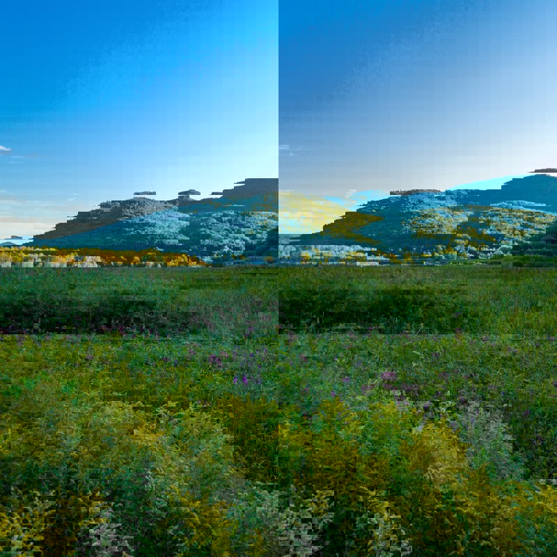 nikunj-singh-37vloo4fswA-unsplash