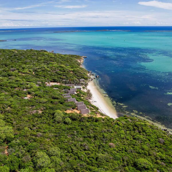 Billede af skov op til kystlinjen