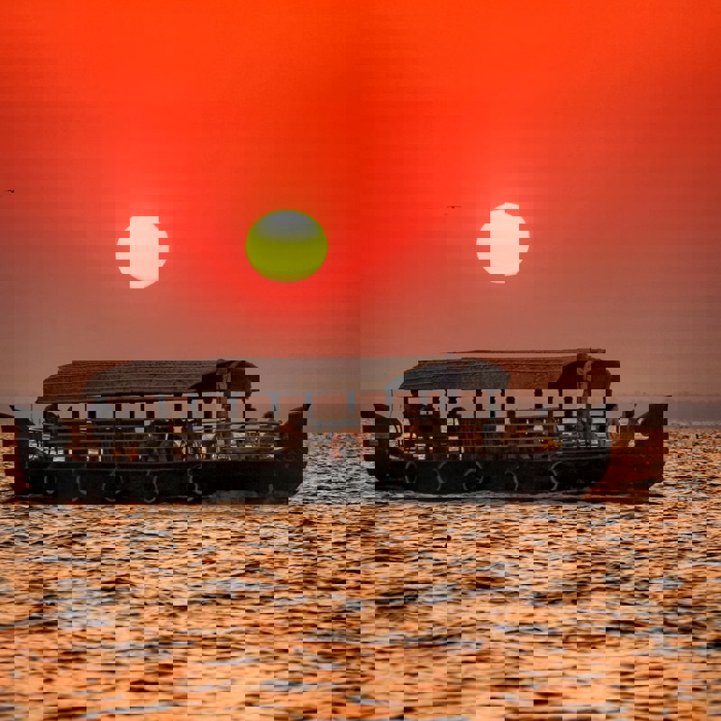 anil-xavier-Tp-kViKErbw-unsplash