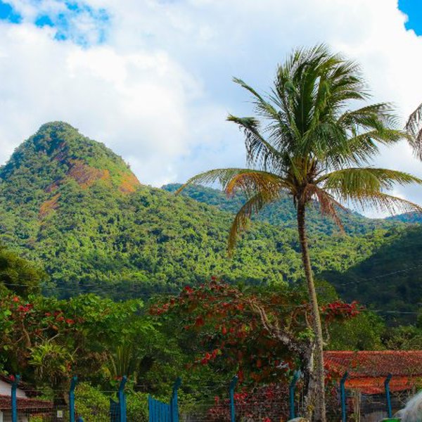 Rejser til Ilha Grande