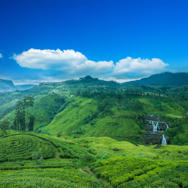 Sri Lanka - Nuwara Eliya