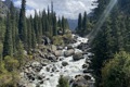 IMG_8108