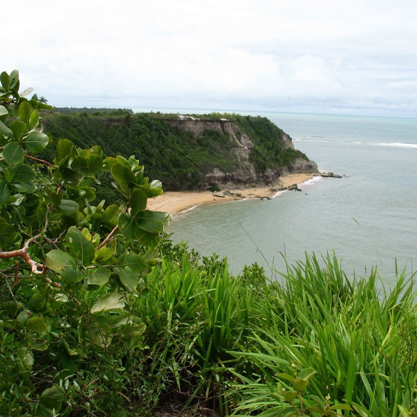 Praia Espelho