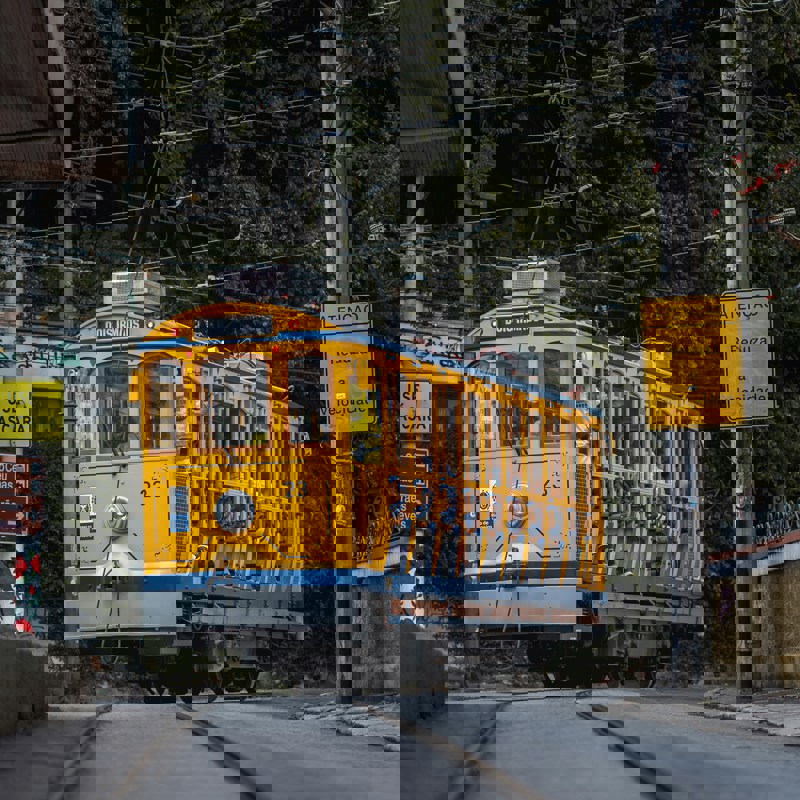 mauro-lima-RfRiSAqW1v8-unsplash