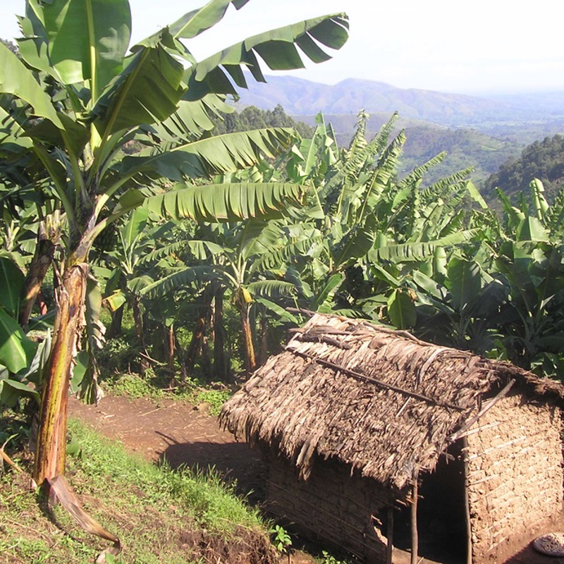 safari i ugandas nationalparker med børn