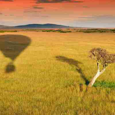 Ballon over Masai Mara, Kenya, safari, Afrika