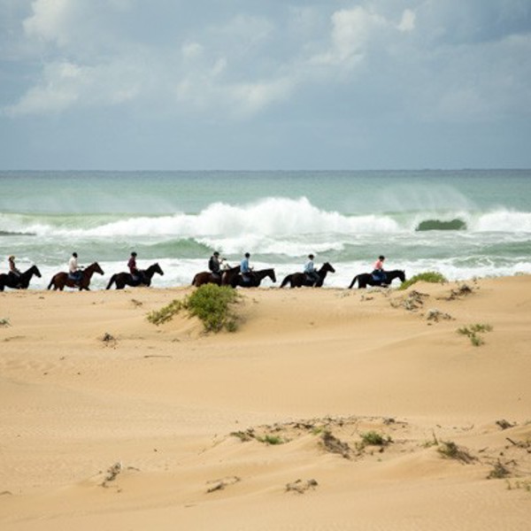 Ridetur på stranden, St. Lucia, Sydafrika