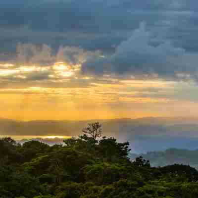 Monteverde Natur