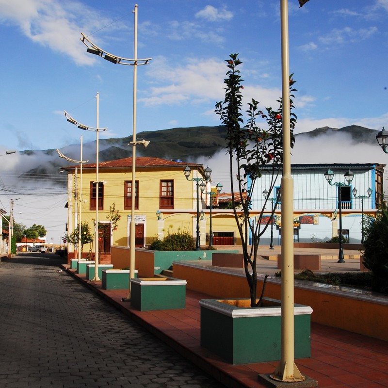 alausi by