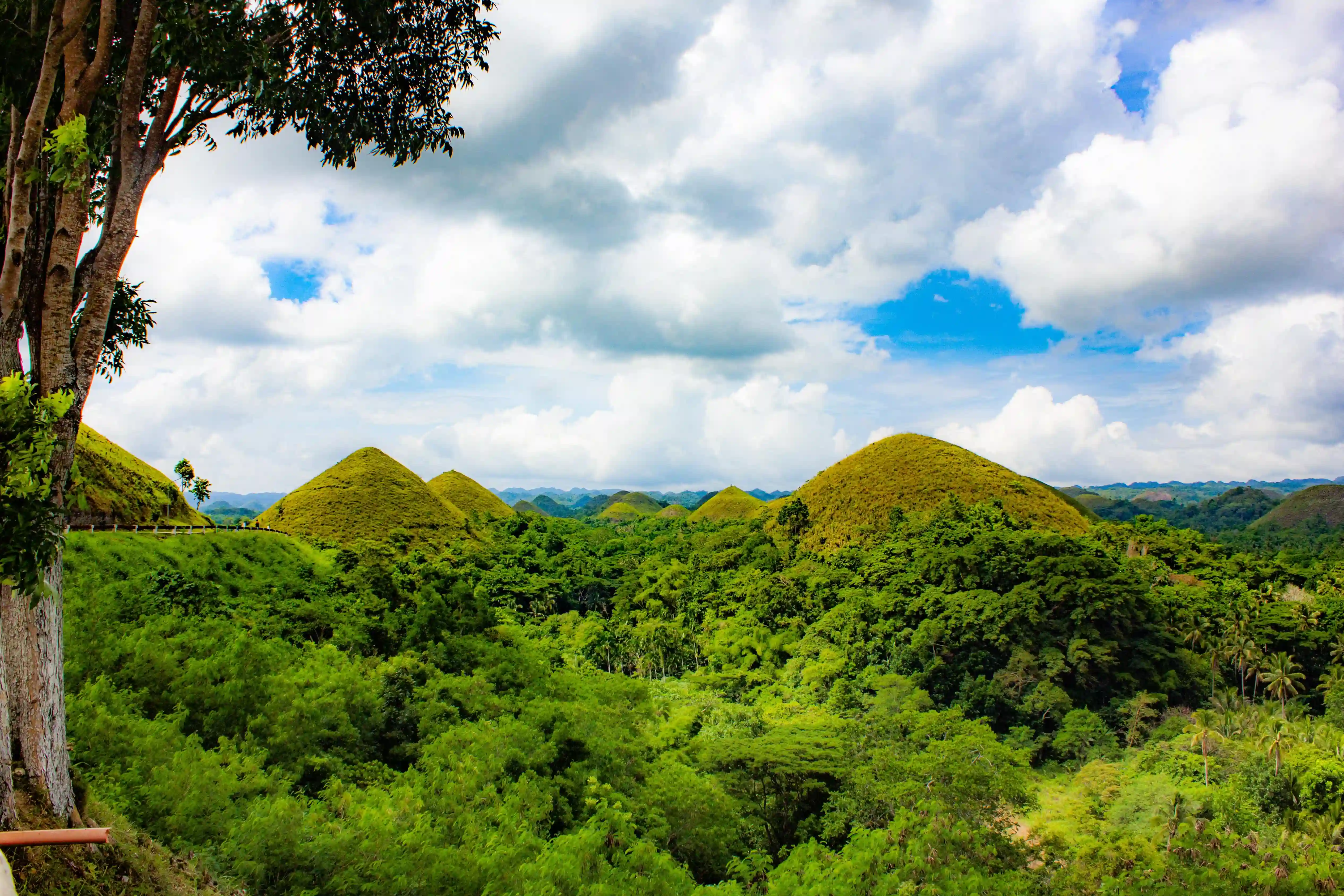 Filipinerne-bohol