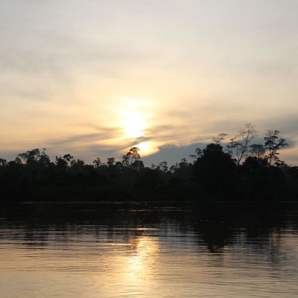 Kinabatangang River