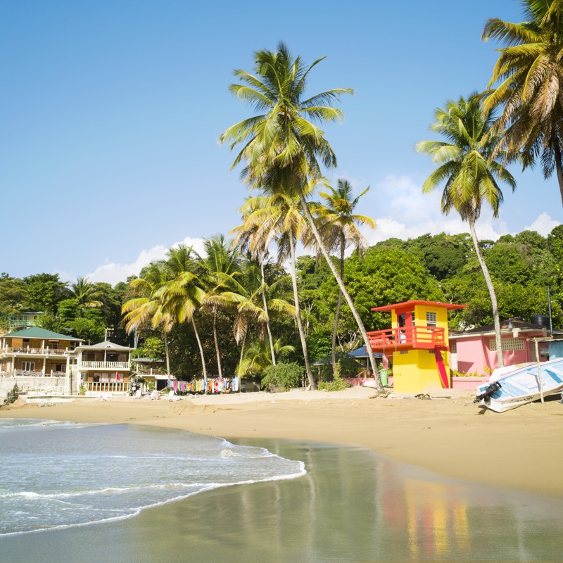 Cascara, Trinidad & Tobago