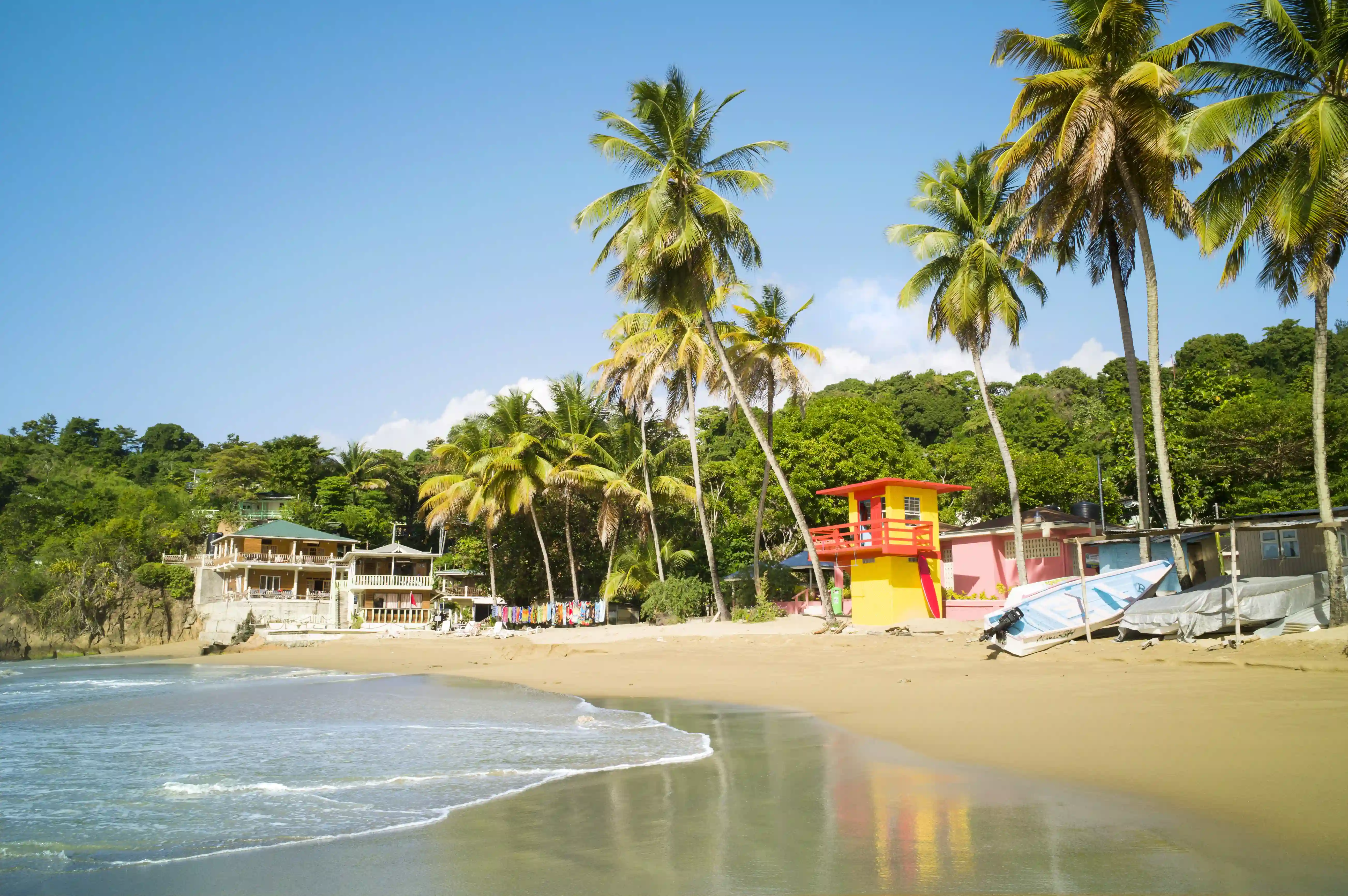 Cascara, Trinidad & Tobago