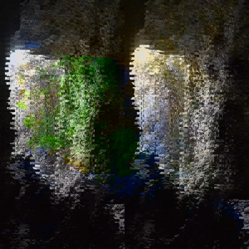 Mørke grotter i junglen i Belize