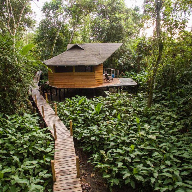 La Macarena, La Manigua