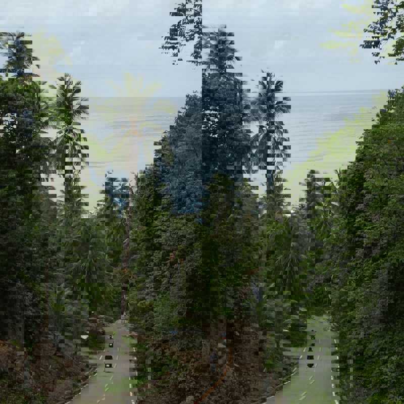 casper-westera-0PJO1DlfPt4-unsplash