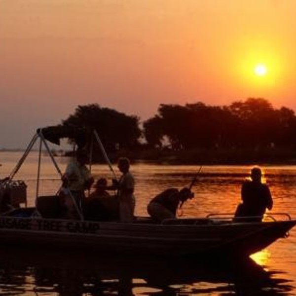 Leopard, Lower Zambezi, Zambia