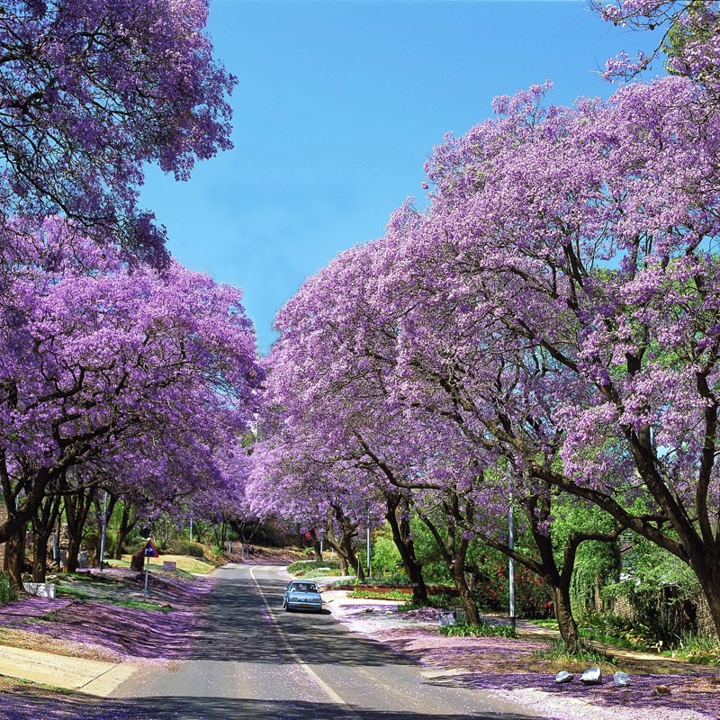 Pretoria, Sydafrika