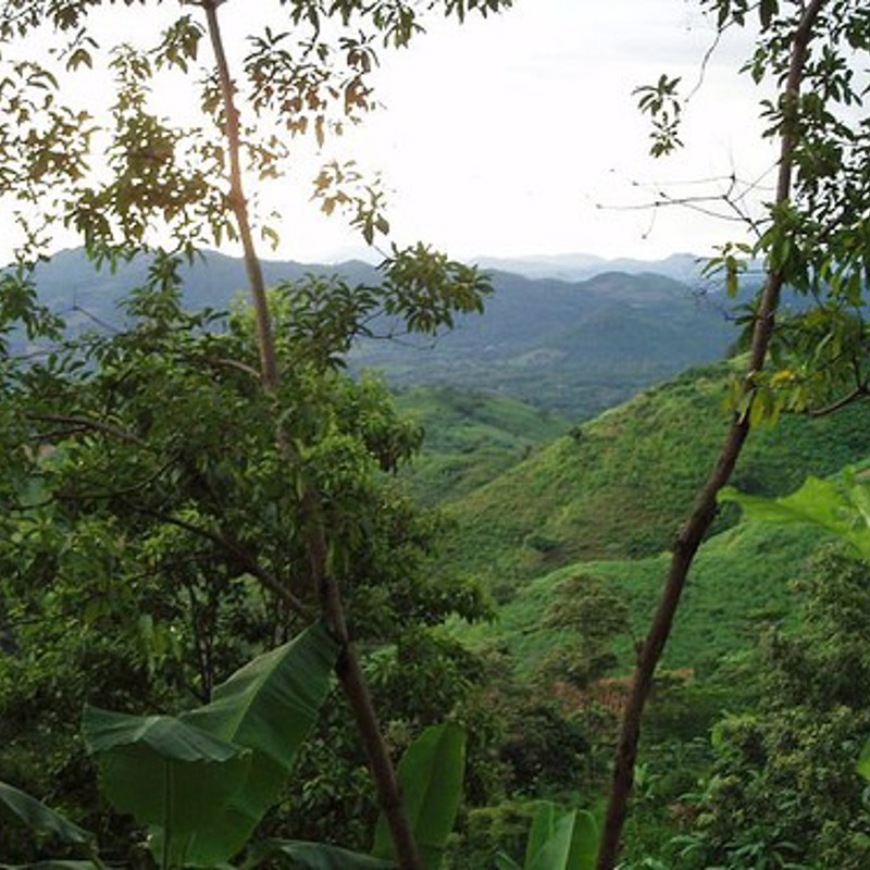 montecristo