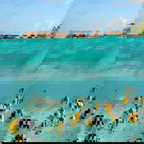 Fransk Polynesien - Tahaa