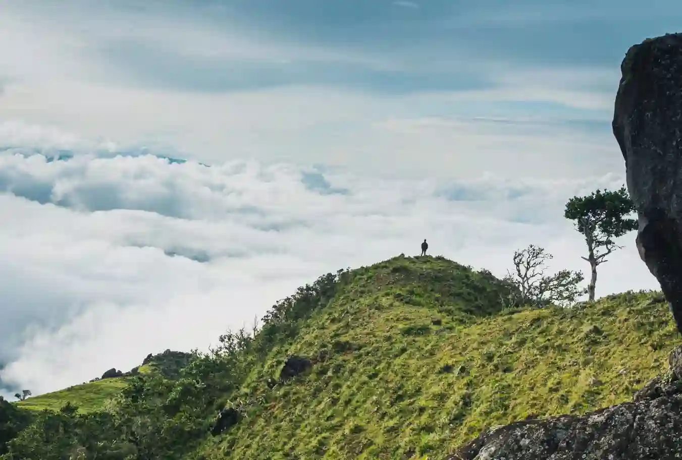 I:\AXUMIMAGES\Mellemamerika\Panama\Boquete\Mountains