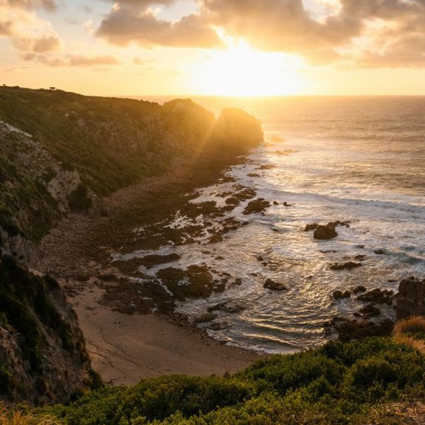 Rejser til Philip Island, Australien