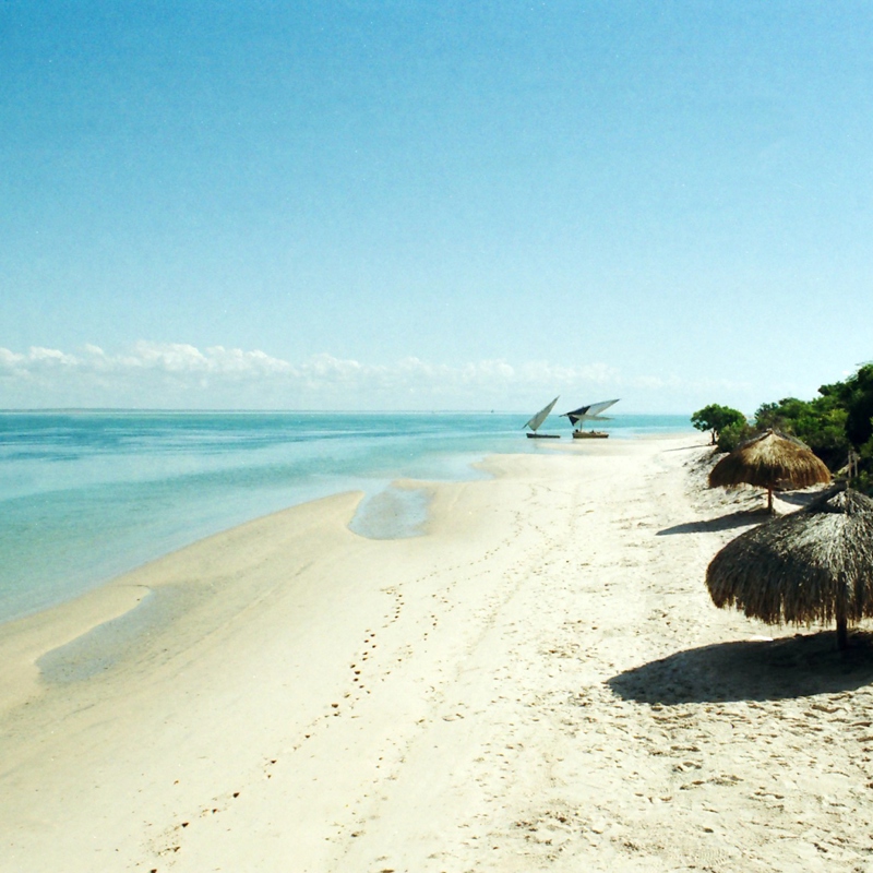 Dugong strand_1 - redigeret