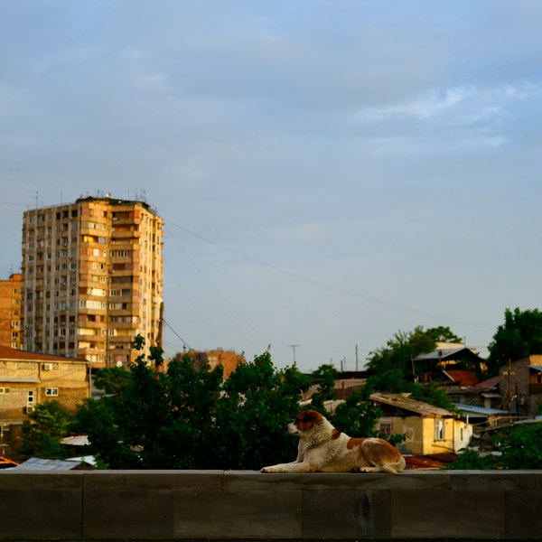 Storbyliv i Armenien