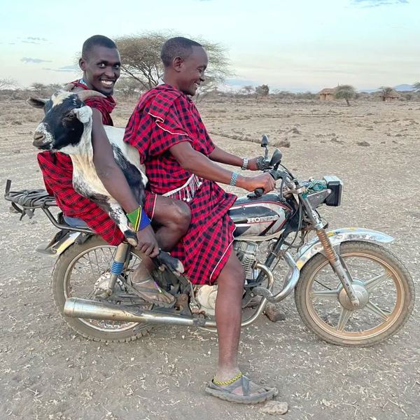 Tanzania - Tinga Tinga - Maasai