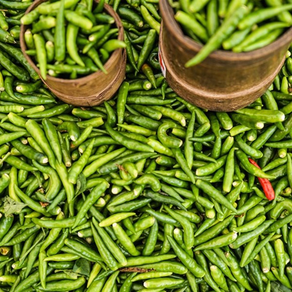 Chilier til kreolsk madlavning